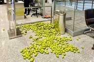 Khách Việt bỏ ở sân bay hàng chục cân xoài cóc và chuyện "dở khóc dở cười"