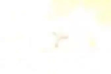 Kinh hoàng cảnh trâu rừng châu Phi húc bay sư tử