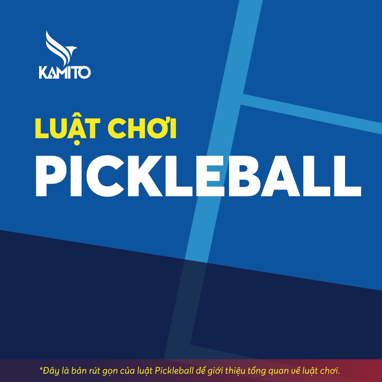 View - Chuyên gia lên tiếng về tranh cãi Pickleball là môn "quần vợt nửa mùa" | Báo Dân trí