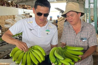 Mô hình "2 cây, 1 con" có gì đặc biệt mà bầu Đức khẳng định lợi nhuận 2.000 tỷ đồng/năm?