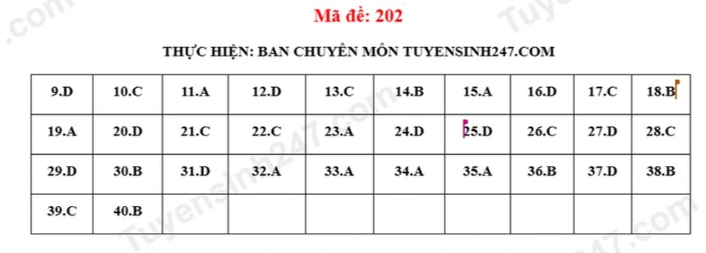 Đề và đáp án môn ngữ văn, tiếng Anh thi lớp 10 Bắc Giang 2025 - 8 Đề và đáp án môn ngữ văn, tiếng Anh thi lớp 10 Bắc Giang 2025 - 8