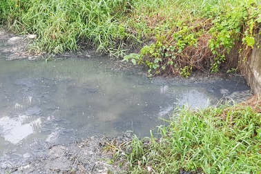 Công ty môi trường nhận mức phạt "khủng" vì... gây ô nhiễm môi trường