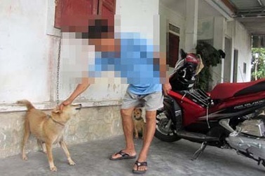 Hơn 3.000 người bị chó mèo nghi dại cắn mỗi năm