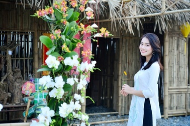 Ninh Bình: Thung lũng hoa 15ha khoe sắc