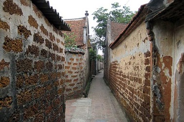Nhấp nhô đường quê