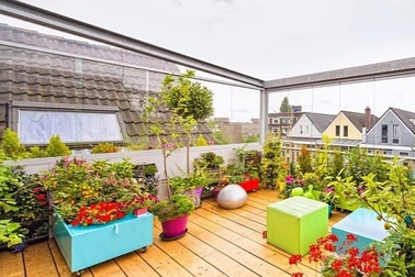 Cặp vợ chồng dỡ mái, làm vườn sân thượng tràn ngập hoa và cây xanh