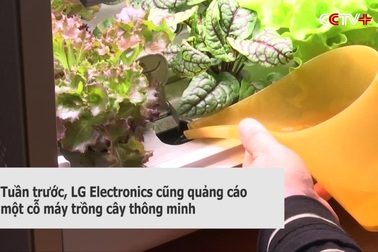 Tủ lạnh trồng rau mini thông minh đắt khách  mùa dịch Covid-19