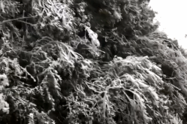 Sững sờ với cảnh băng tuyết trắng xóa tại Mù Cang Chải