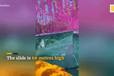 Độc đáo máng trượt nước xuyên đường hầm toàn hoa ở độ cao 70m