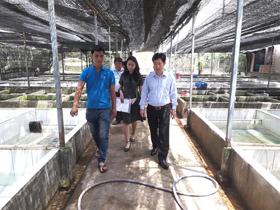 Quái kiệt biến cá đặc chủng độc, lạ thành cá kiểng, tiền đô thu đều - 4 Quái kiệt biến cá đặc chủng độc, lạ thành cá kiểng, tiền đô thu đều - 4