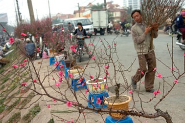 Miền Bắc nhiều khả năng mưa, rét dịp Tết Nguyên đán