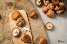 Mách bạn cách bảo quản các loại nấm lâu ngày vẫn giữ trọn chất dinh dưỡng