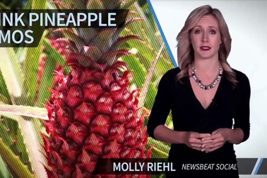 Phát sốt với những trái dứa hồng mới xuất hiện