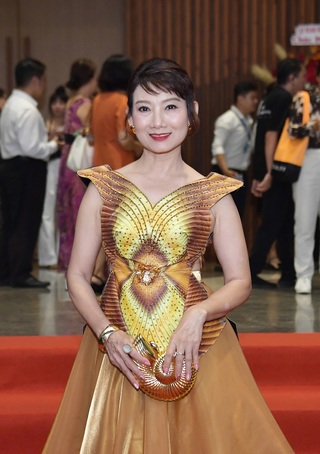 Lan Hương "Em bé Hà Nội" và dàn nghệ sĩ gạo cội hội tụ ở thảm đỏ DANAFF III - 4