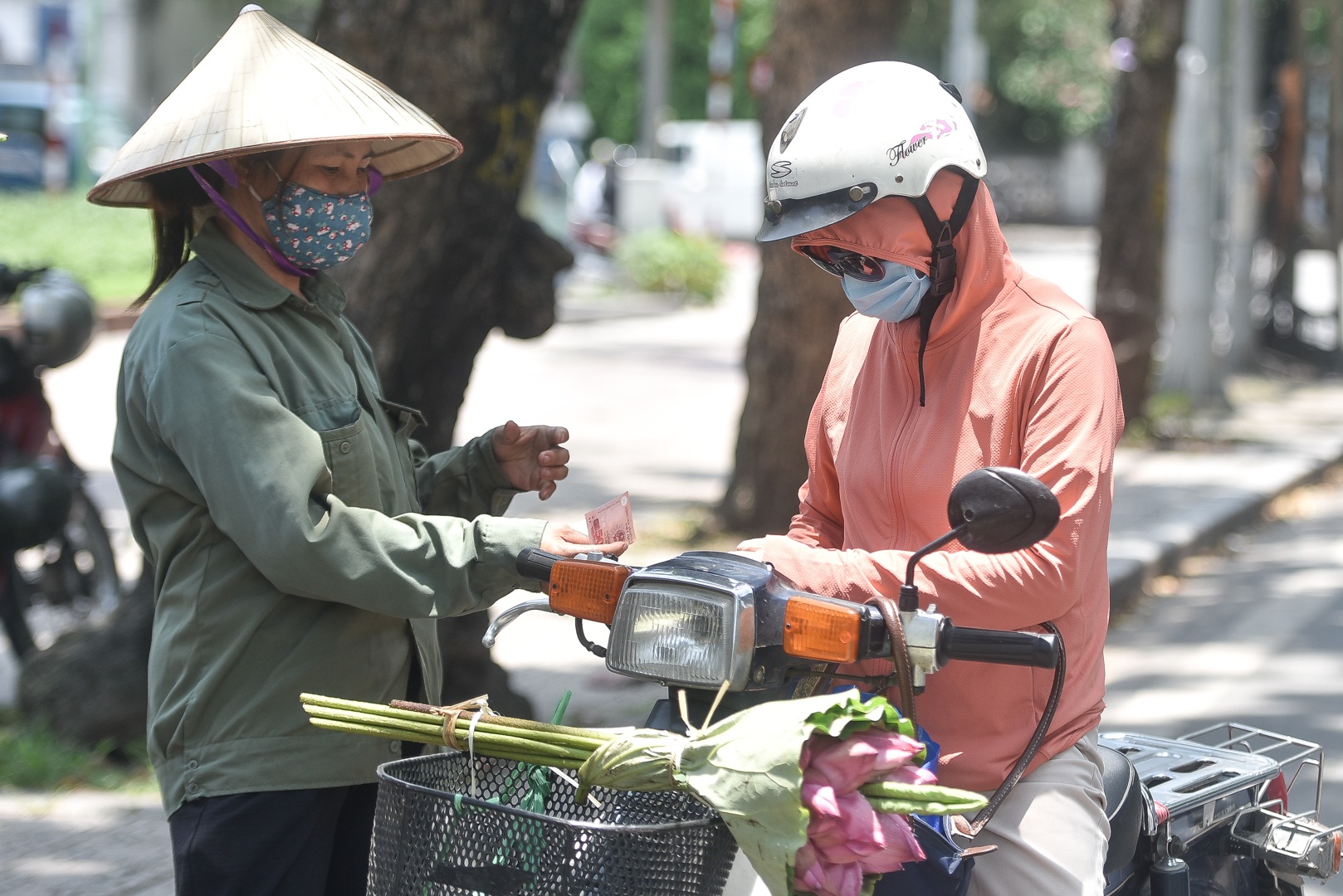 Hà Nội: Ngẩn ngơ với sắc sen đầu mùa xuống phố - 15 Hà Nội: Ngẩn ngơ với sắc sen đầu mùa xuống phố - 15