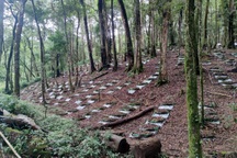 Đổi đời với quốc bảo Việt trên đỉnh Ngọc Linh