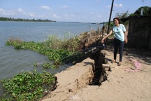 Sạt lở ở Đồng Tháp chưa có dấu hiệu dừng lại