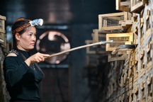 Những người nuôi nhốt đại xà: Mất mạng, cụt tay chân vì nọc độc