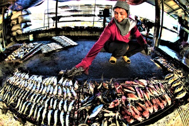 Nghề nướng cá, mực tươi ở Xứ Nghệ vào vụ