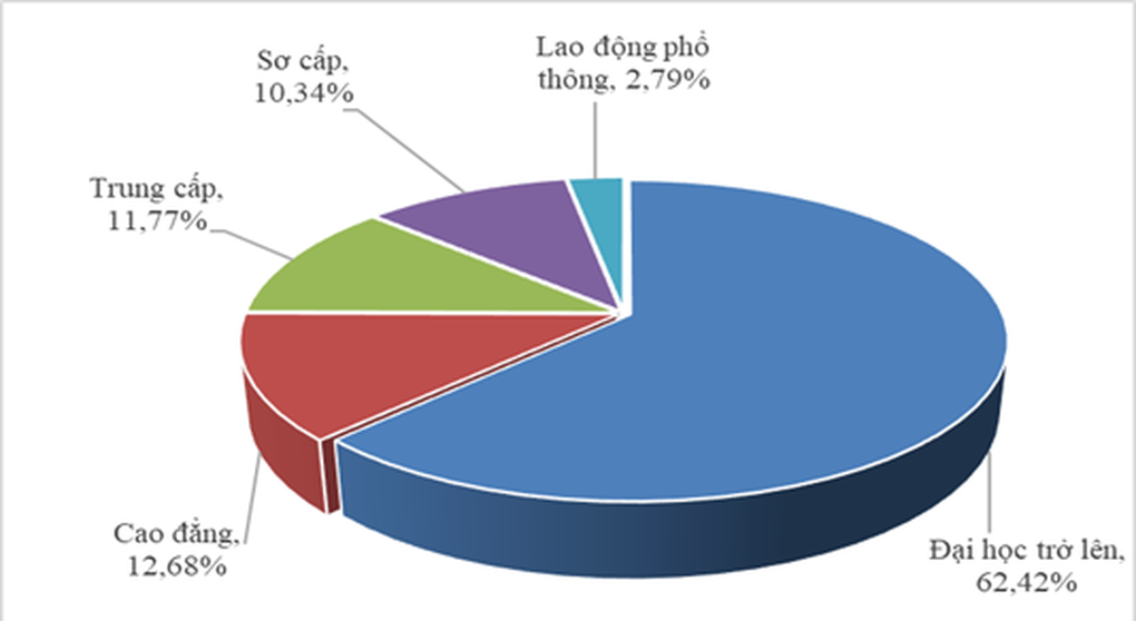 Nhân lực trình độ cao giống lao động phổ thông là... dễ mất việc - 4