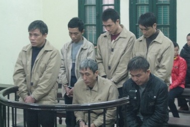 Lũ lượt vào tù vì… trả thù cho chó