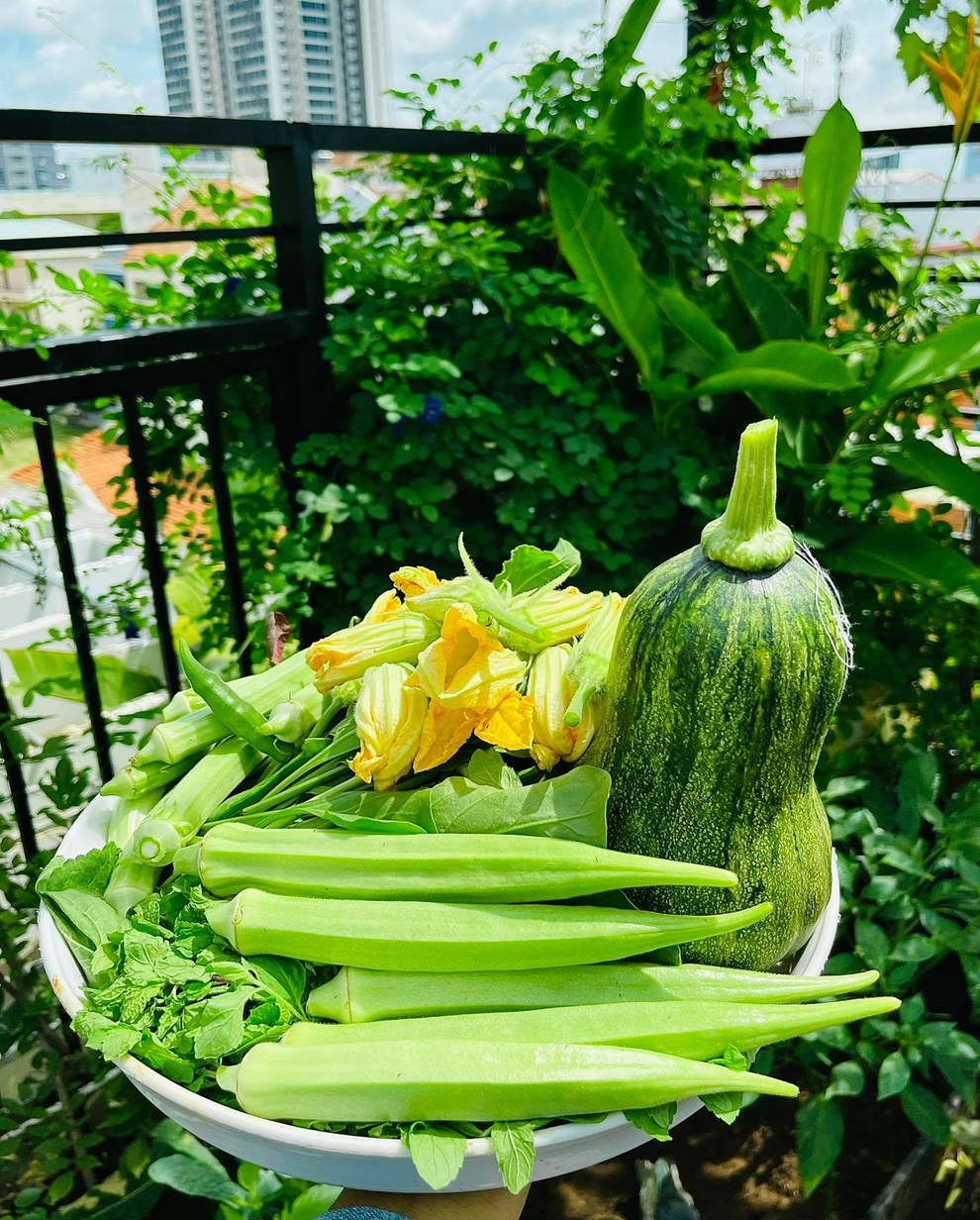 Ngắm vườn như rừng bách thảo trên sân thượng của nữ gia chủ ở Sài Gòn - 12