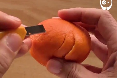 Những “tác phẩm điêu khắc” tuyệt đẹp từ vỏ quýt