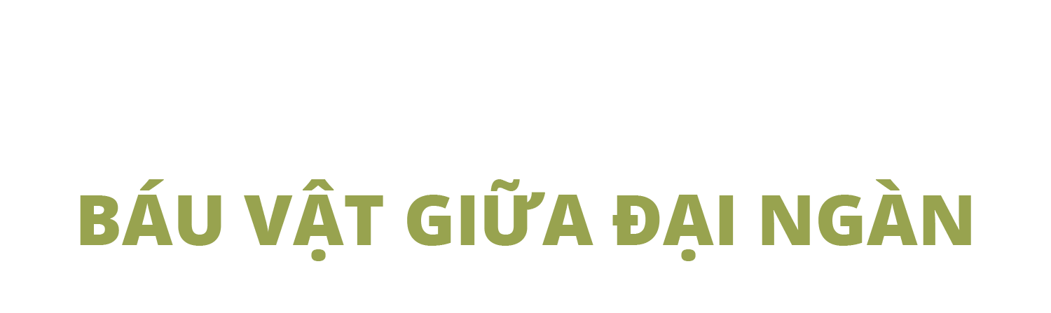 Bí ẩn về báu vật thế gian giữa đại ngàn cao nguyên ở Việt Nam - 1 Bí ẩn về báu vật thế gian giữa đại ngàn cao nguyên ở Việt Nam - 1