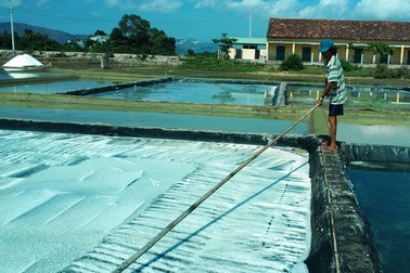 Bán nửa tạ muối mới mua được tô phở