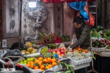 Giá hoa đào, chuối Tết tăng do bão Yagi, nguồn đào từ Nhật Tân không có