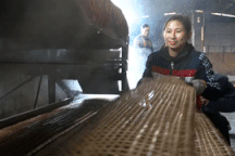 Cả làng tất bật đêm ngày làm hàng vạn chiếc bánh phục vụ Tết