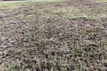 Hình ảnh mặt sân Hà Tĩnh xơ xác lên báo nước ngoài