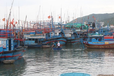Ngư dân Nam Trung Bộ hối hả vươn khơi sau bão Damrey