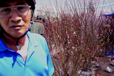 Đào Nhật Tân ở TPHCM "bán đổ bán tháo" ngày cuối năm