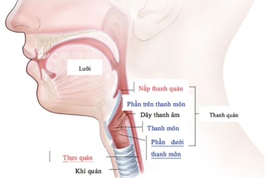 7 triệu chứng cảnh báo ung thư thanh quản
