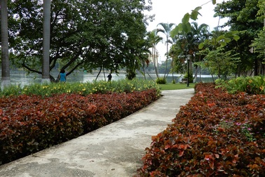 Phạt người tung tin "sờ ngực thiếu nữ quyên tiền từ thiện" 5 triệu đồng