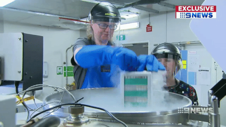 Có gì trong kho lưu trữ 110.000 mẫu máu/mô có thể là “chìa khóa” cho bệnh ung thư? - 1