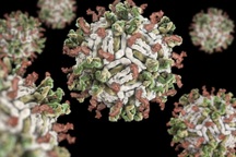 Căn bệnh bí ẩn khiến hàng chục trẻ em ở Ấn Độ tử vong