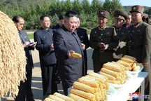 Hé lộ tình hình thiếu lương thực "căng thẳng" ở Triều Tiên