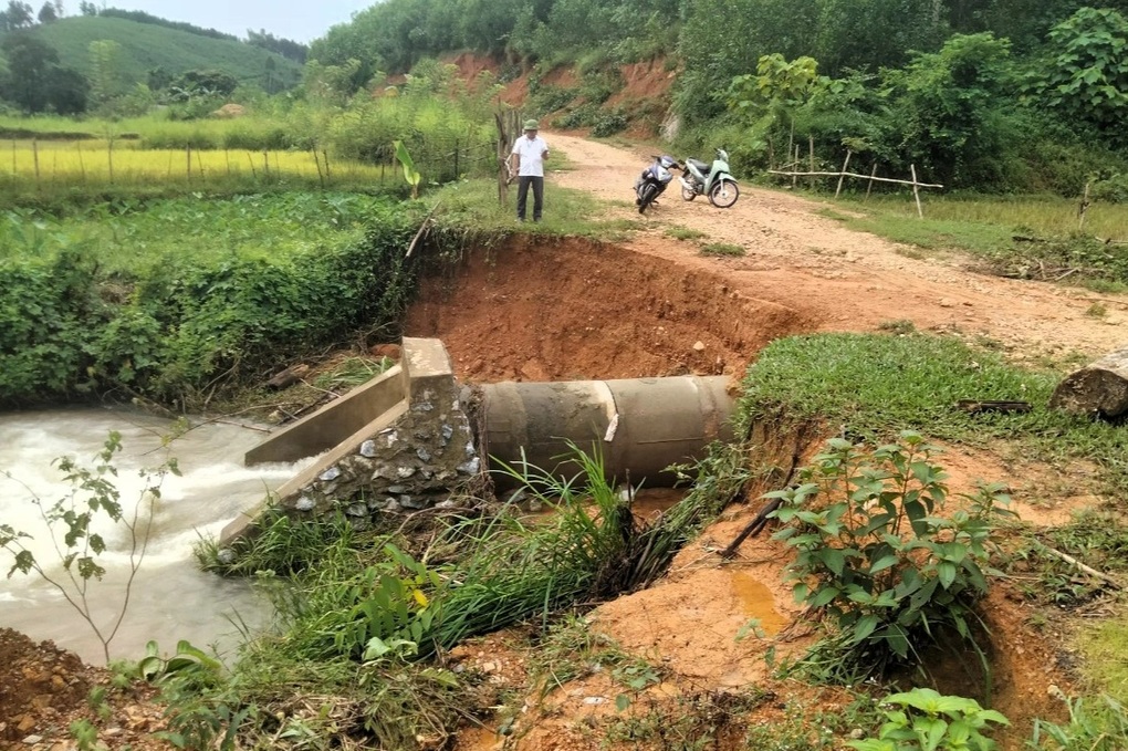 130ha lúa tan hoang sau lũ, xã nghèo thiệt hại 10 tỷ đồng - 3 130ha lúa tan hoang sau lũ, xã nghèo thiệt hại 10 tỷ đồng - 3