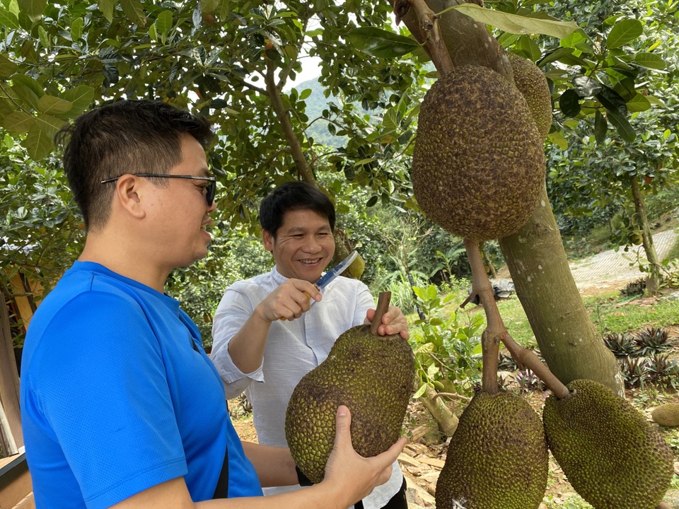 Đăng Dương, Trọng Tấn về trang trại 10.000m2 của Việt Hoàn tập hát - 5