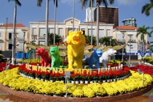 Đàn hổ đủ màu sắc "xuống" đường hoa Đà Nẵng