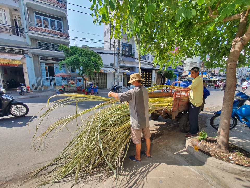 Trắng đêm bán mía mưu sinh ngày đầu năm - 9 Trắng đêm bán mía mưu sinh ngày đầu năm - 9
