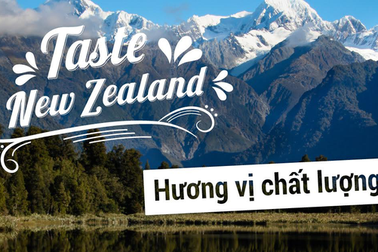 Mua hàng đảm bảo 100% nguồc gốc chính hãng từ New Zealand trên Lazada