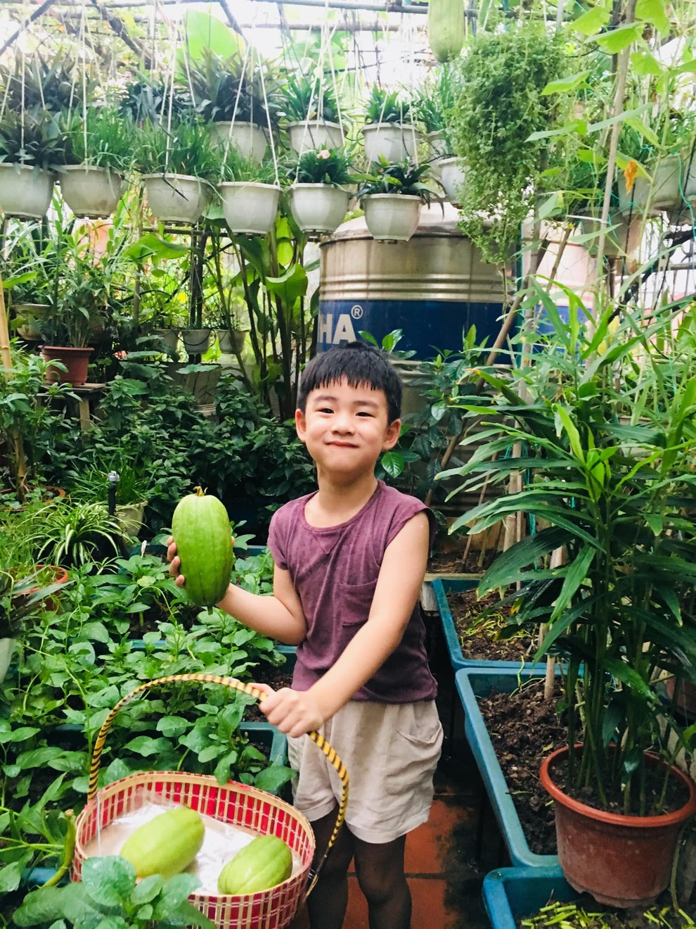Khu vườn giao mùa toàn trái khủng của bà giáo về hưu ở Hà Nội - 10 Khu vườn giao mùa toàn trái khủng của bà giáo về hưu ở Hà Nội - 10