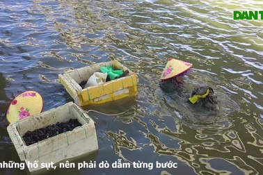 Nghề bắt chem chép ở Quảng Nam