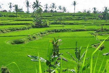 Những vùng đất thiên đường nổi tiếng trong văn chương