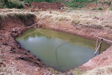Cha mẹ mải làm việc, 2 con gái ngã xuống hồ tử vong