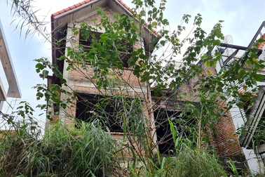 Biệt thự để cỏ mọc um tùm nhưng được "hét giá" khiến đại gia "bỏng tay"