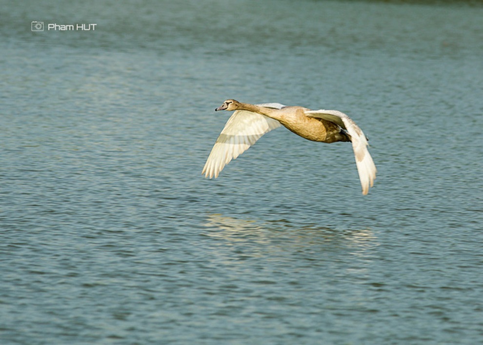 Giảng viên đại học gây bão với những bức ảnh chụp tại thành phố xanh - 8